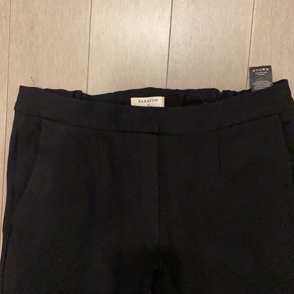 Babaton Pants (8) - Picture 4 of 7
